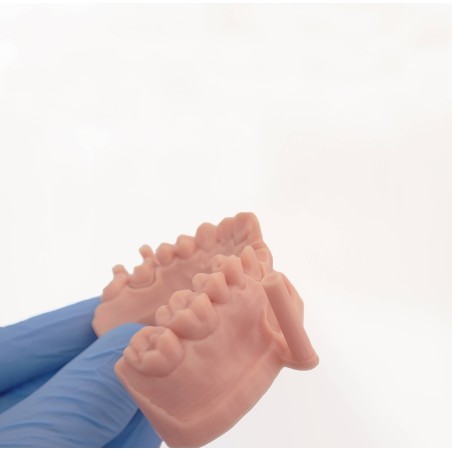 Résine Liqcreate Premium Model